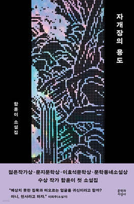 자개장의 용도