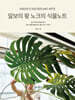 알보의 왕 노크의 식물노트