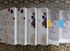 성균관 유생들의 나날 + 규장각 각신들의 나날 + 해를 품은 달