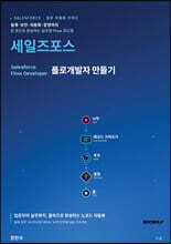 세일즈포스 플로개발자 만들기