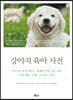 강아지 육아 사전