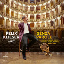 Felix Klieser (펠릭스 클리저) - 말없이 : 호른으로 연주하는 이탈리아 아리아 (Senza Parole : Italian Arias for Horn by Puccini, Verdi, Rossini and others)
