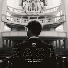Jorg Halubek 바흐: 프렐류드와 푸가 E단조 BWV 548 (Bach: Organ Landscapes) [LP]