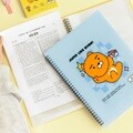 카카오 세이치즈 스프링 클리어 화일 라이언