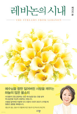 레바논의 시내