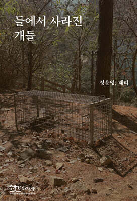 들에서 사라진 개들