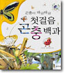 곤충이 바글바글 첫걸음 곤충백과