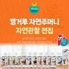 유아 첫 자연 관찰: 캥거루 자연주머니 (전 25권) / 세이펜활용가능도서