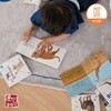 2026년 캥거루 자연주머니