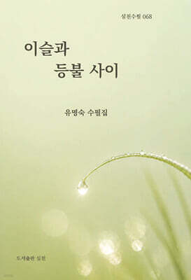 이슬과 등불 사이