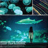 Bring Me The Horizon (브링 미 더 호라이즌) - 1집 Count Your Blessings [LP]