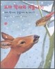 꼬마 딱새의 겨울나기