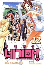 마법선생 네기마! 12