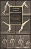 A History of Male Photographers: Analyzing Men as Men in Scientific, Commercial, and Art Photography, 1870 to the Present