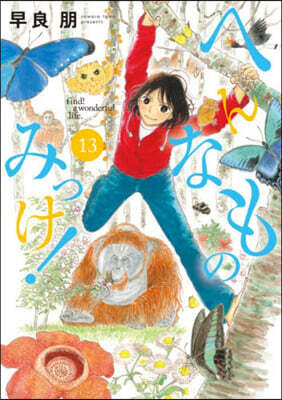 へんなものみっけ!  13