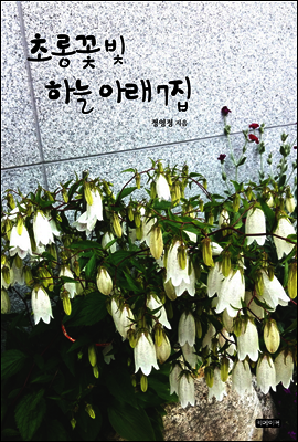 초롱꽃 빛 하늘아래 7