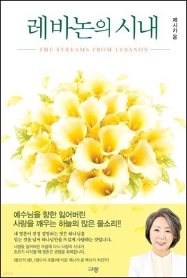 레바논의 시내