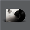 딜런 매팅리: 와일드 하트 (Dylan Mattingly: the Wild Heart) (180g)(LP) - David Bloom