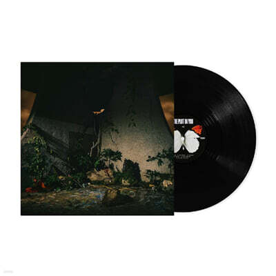 The Plot In You (더 플롯 인 유) - The Plot In You [LP]