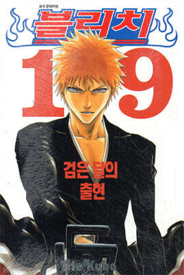 블리치 BLEACH 19