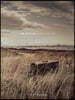 The Suitcase