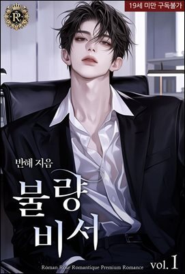 불량비서 1권