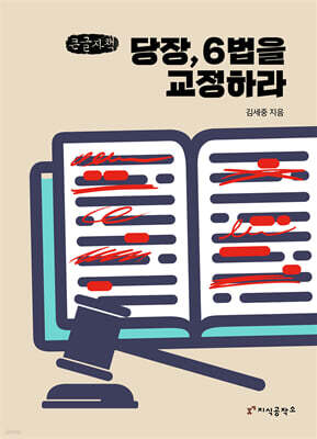 당장, 6법을 교정하라 (큰글자책)
