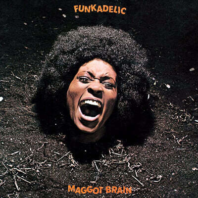 Funkadelic (펑카델릭) - Maggot Brain [2LP]