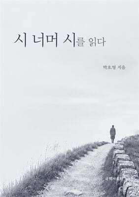 시 너머 시를 읽다