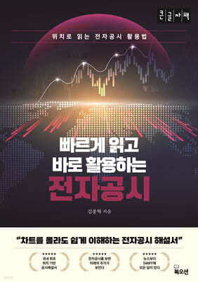 전자공시 (큰글자책)