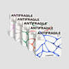 르세라핌 (LE SSERAFIM) - 2nd Mini Album ‘ANTIFRAGILE’ [COMPACT ver.][SET]
