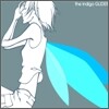 The Indigo - GLIDER