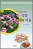 건강 꽃 식물 재배와 이용