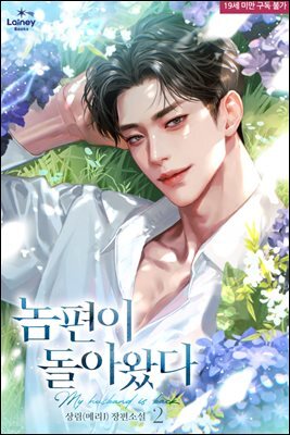 놈편이 돌아왔다 2권 (완결)