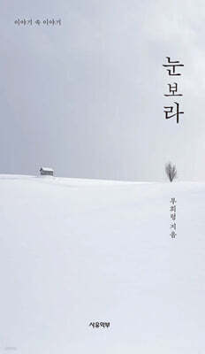 눈보라