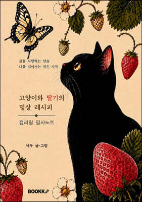 고양이와 딸기의 명상 레시피