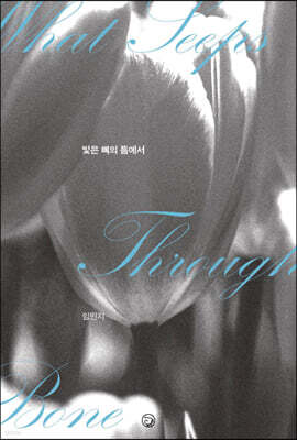 빛은 뼈의 틈에서