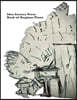 Idea Factory Press Book of Ragtime Piano