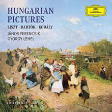 헝가리 음악 선집 (Hungarian Pictures)