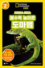 사이언스 리더스 LEVEL 2 : 볼수록 놀라운 도마뱀