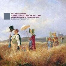 Zemlinsky Quartet 슈베르트: 현악 4중주 15번 D887, 현악 4중주 12번 D703 (Schubert: String Quartets D887, 703)