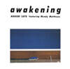 Hiroshi Sato (사토 히로시) - Awakening special edition [클리어 블루 & 라이트 블루 컬러 2LP]
