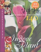 실내식물 140