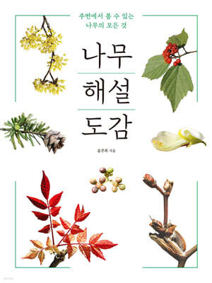 나무 해설 도감