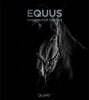 Equus: A Passion for Horses