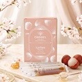 오르미엘 꿀스틱 리치꽃 10P