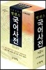 엣센스 국어사전