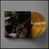 Unknown Mortal Orchestra - V (Gold Vinyl 2LP)