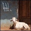 박강수 7집 - 1st 나비