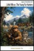Little Rifle or, The Young Fur Hunters